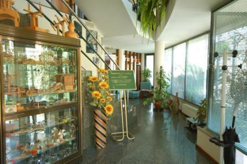 Hotel O Cortico เซฟเวร์ ดู โววกา ภายนอก รูปภาพ